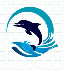 Delfin und Ozeanwelle